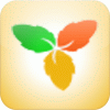 lifetype icon