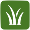 livesite icon