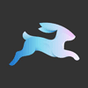 directus icon