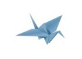 Blog Script