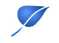 Blog Script