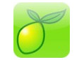 Blog Script