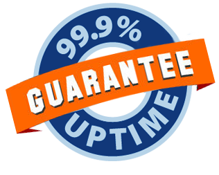99.9% Uptime Guarantee